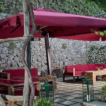 Wine Капри