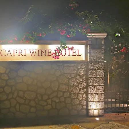 Wine 3* Capri